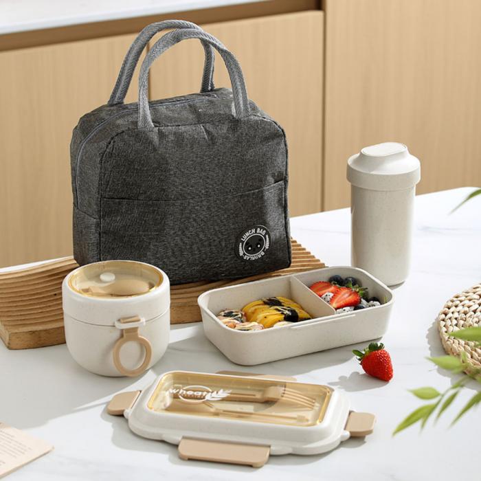 簡(jiǎn)麥便當(dāng)盒HC6916M/套